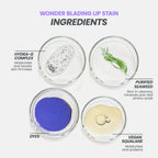 Wonderskin Lip Stain Peel Off Masque - Adore Stain & Go Long Lasting Waterproof Lip Tint - New