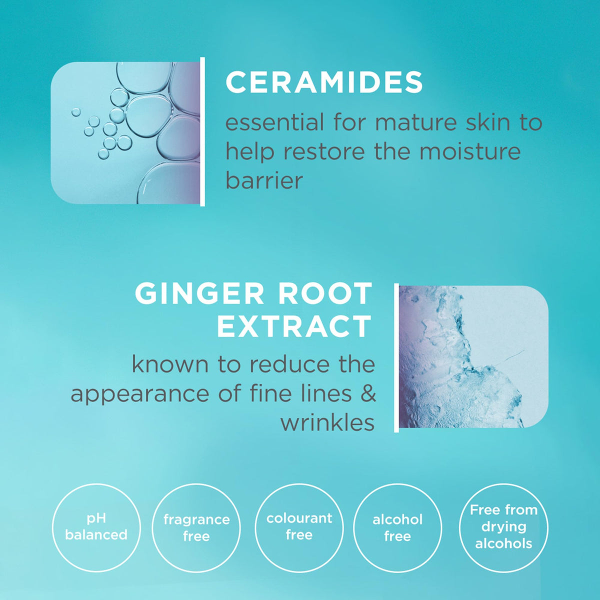 Curél Restorative Aging Care Rejuvenating Day Cream 40g - Anti-Ageing Daily Face Moisturiser - Damaged Box