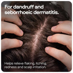 Sons Ketoconazole 2% Anti-Dandruff Shampoo - Medicated Scalp Treatment - 2 Pack - Damaged Box